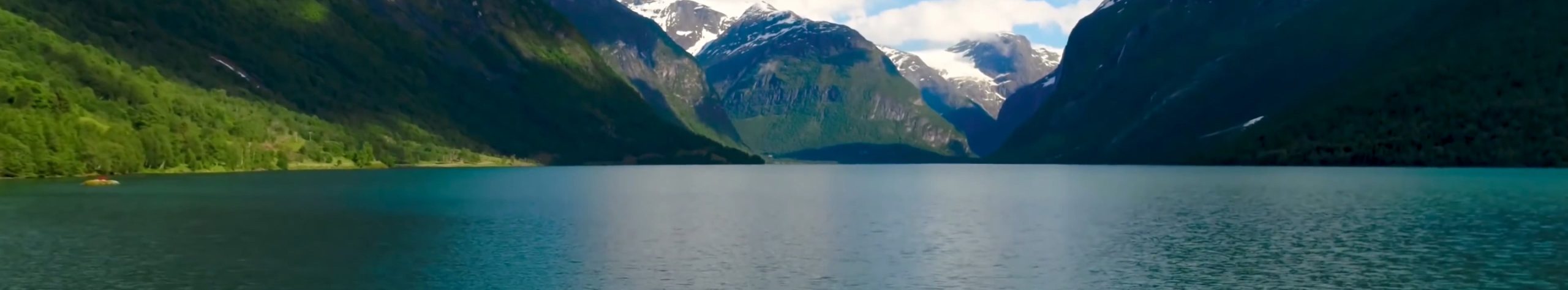 专注互联网创业,信息差副业研究,拒绝割韭菜